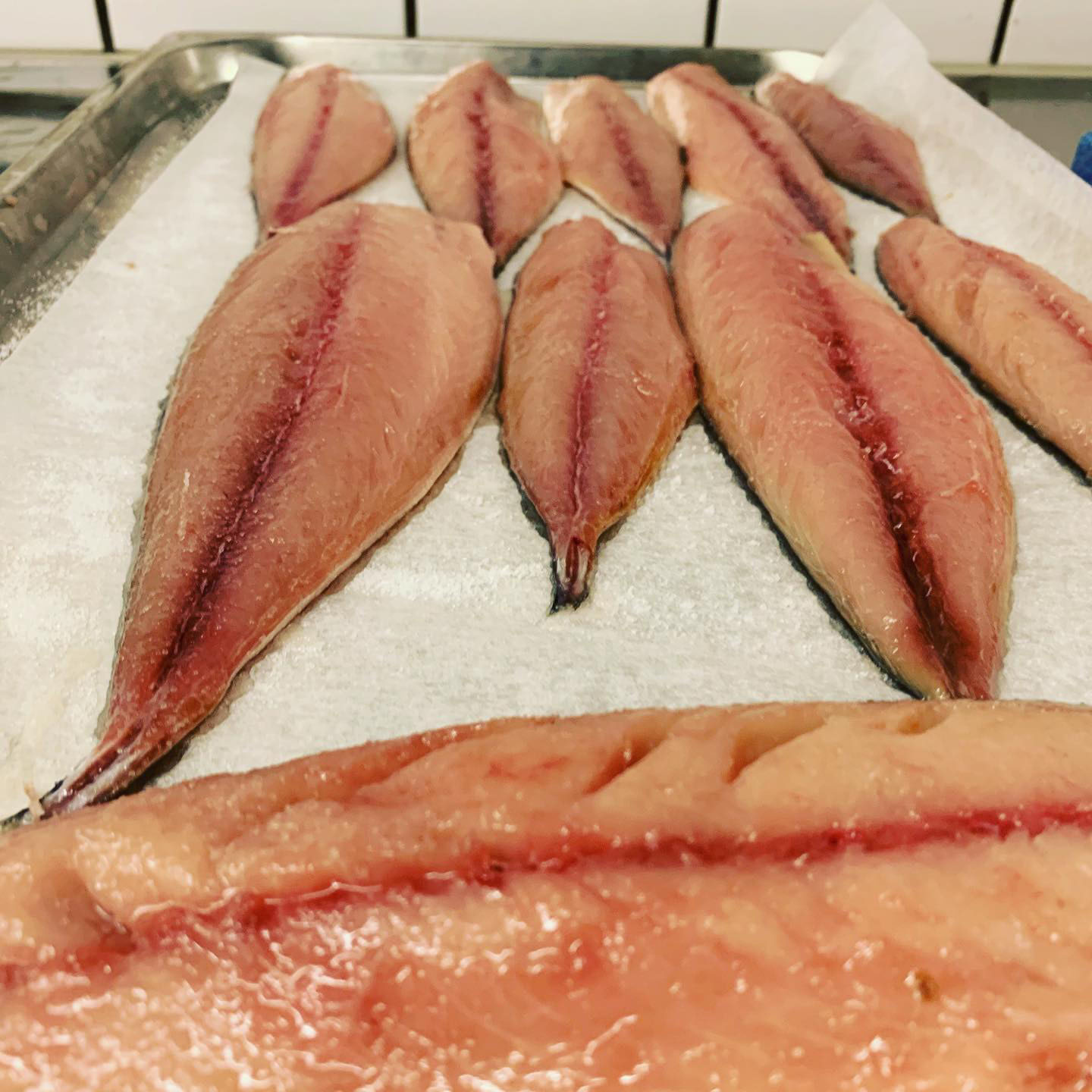 fisk_slideshow
